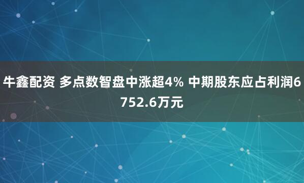 牛鑫配资 多点数智盘中涨超4% 中期股东应占利润6752.6万元