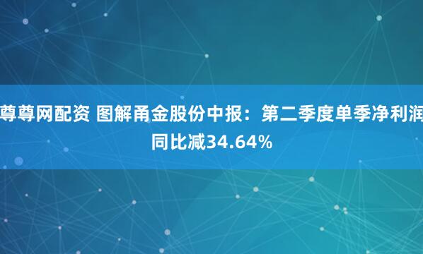 尊尊网配资 图解甬金股份中报：第二季度单季净利润同比减34.64%